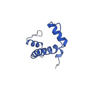 34207_8grm_B_v1-0
Cryo-EM structure of PRC1 bound to H2AK119-UbcH5b-Ub nucleosome