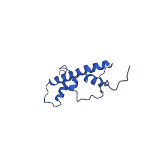 34207_8grm_G_v1-0
Cryo-EM structure of PRC1 bound to H2AK119-UbcH5b-Ub nucleosome