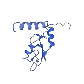 34207_8grm_M_v1-0
Cryo-EM structure of PRC1 bound to H2AK119-UbcH5b-Ub nucleosome