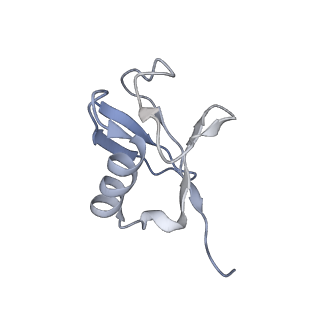 34207_8grm_O_v1-0
Cryo-EM structure of PRC1 bound to H2AK119-UbcH5b-Ub nucleosome