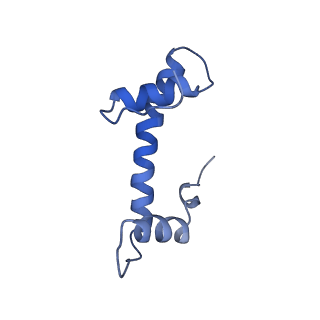 34212_8grq_B_v1-0
Cryo-EM structure of BRCA1/BARD1 bound to H2AK127-UbcH5c-Ub nucleosome