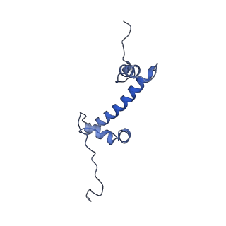 34212_8grq_C_v1-0
Cryo-EM structure of BRCA1/BARD1 bound to H2AK127-UbcH5c-Ub nucleosome