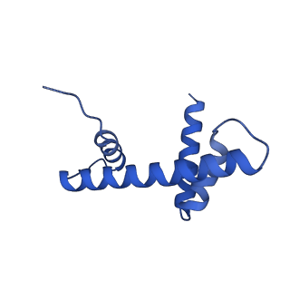 34212_8grq_D_v1-0
Cryo-EM structure of BRCA1/BARD1 bound to H2AK127-UbcH5c-Ub nucleosome