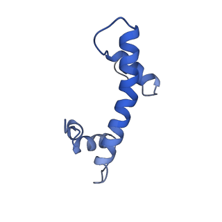 34212_8grq_F_v1-0
Cryo-EM structure of BRCA1/BARD1 bound to H2AK127-UbcH5c-Ub nucleosome