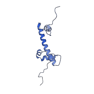 34212_8grq_G_v1-0
Cryo-EM structure of BRCA1/BARD1 bound to H2AK127-UbcH5c-Ub nucleosome