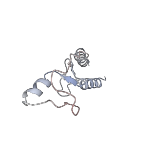 34212_8grq_K_v1-0
Cryo-EM structure of BRCA1/BARD1 bound to H2AK127-UbcH5c-Ub nucleosome
