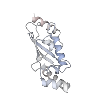 34212_8grq_N_v1-0
Cryo-EM structure of BRCA1/BARD1 bound to H2AK127-UbcH5c-Ub nucleosome