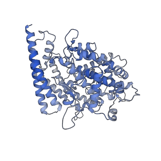 34217_8gry_A_v1-1
Cryo-EM structure of SARS-CoV-2 Omicron BA.2 RBD in complex with rat ACE2 (local refinement)