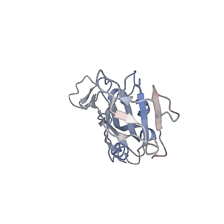 34217_8gry_B_v1-1
Cryo-EM structure of SARS-CoV-2 Omicron BA.2 RBD in complex with rat ACE2 (local refinement)