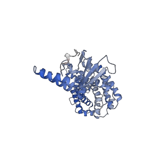 34218_8gs2_B_v1-1
Structure of the Cas7-11-Csx29-guide RNA-target RNA (non-matching PFS) complex
