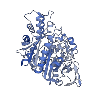 34219_8gs3_A_v1-0
Cryo-EM structure of human Neuroligin 3