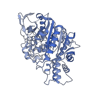 34219_8gs3_B_v1-0
Cryo-EM structure of human Neuroligin 3