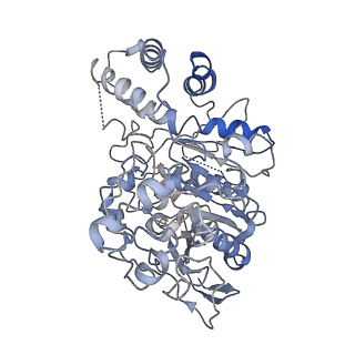 34220_8gs4_A_v1-0
Cryo-EM structure of human Neuroligin 2