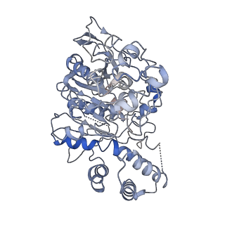 34220_8gs4_B_v1-0
Cryo-EM structure of human Neuroligin 2