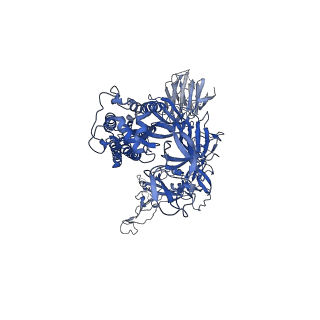 34221_8gs6_B_v1-1
Structure of the SARS-CoV-2 BA.2.75 spike glycoprotein (closed state 1)