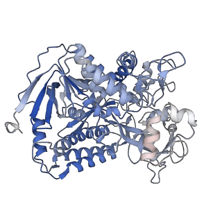 34225_8gs8_A_v1-0
cryo-EM structure of the human respiratory complex II