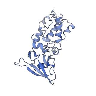 34225_8gs8_B_v1-0
cryo-EM structure of the human respiratory complex II