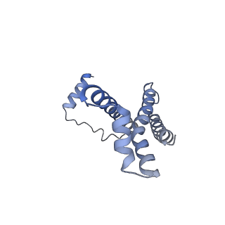 34225_8gs8_C_v1-0
cryo-EM structure of the human respiratory complex II