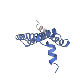 34225_8gs8_D_v1-0
cryo-EM structure of the human respiratory complex II
