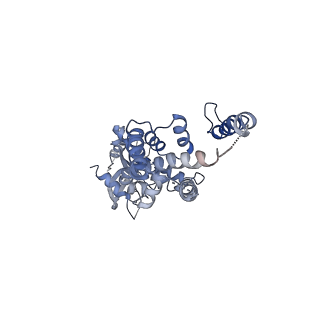 34244_8gsz_A_v1-0
Structure of STING SAVI-related mutant V147L
