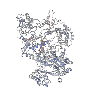 0063_6gte_A_v1-3
Transient state structure of CRISPR-Cpf1 (Cas12a) I3 conformation