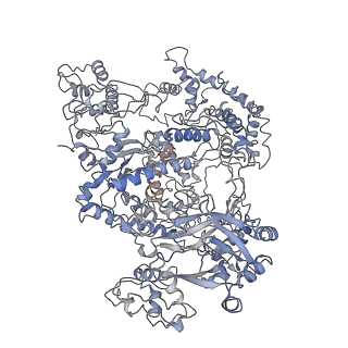 0065_6gtg_A_v1-3
Transition state structure of Cpf1(Cas12a) I4 conformation