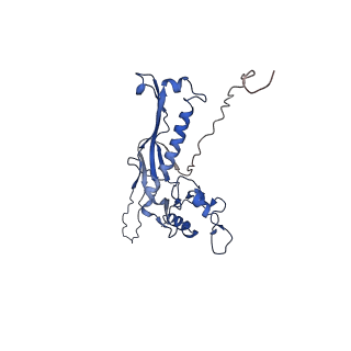 34247_8gta_D_v1-1
Cryo-EM structure of the marine siphophage vB_Dshs-R4C capsid