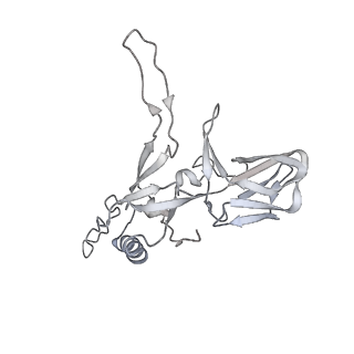 34249_8gtc_I_v1-0
Cryo-EM model of the marine siphophage vB_DshS-R4C baseplate-tail complex