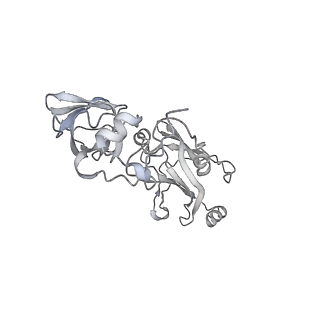 34249_8gtc_P_v1-0
Cryo-EM model of the marine siphophage vB_DshS-R4C baseplate-tail complex