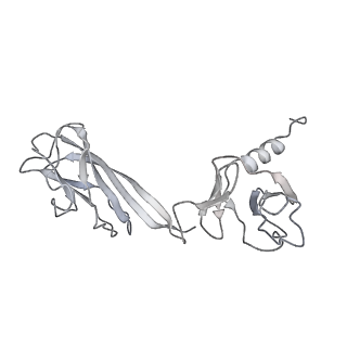 34249_8gtc_T_v1-0
Cryo-EM model of the marine siphophage vB_DshS-R4C baseplate-tail complex