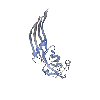 34258_8gtn_C_v1-1
Cryo-EM structure of the gasdermin B pore