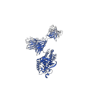 34259_8gto_B_v1-0
cryo-EM structure of Omicron BA.5 S protein in complex with XGv282