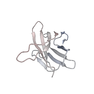 34259_8gto_I_v1-0
cryo-EM structure of Omicron BA.5 S protein in complex with XGv282