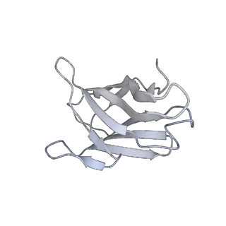 34259_8gto_L_v1-0
cryo-EM structure of Omicron BA.5 S protein in complex with XGv282
