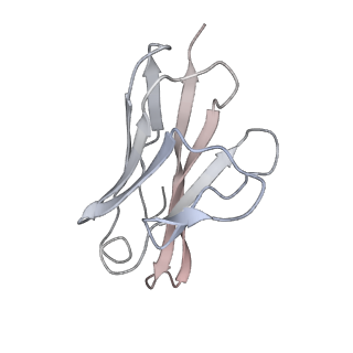 34259_8gto_M_v1-0
cryo-EM structure of Omicron BA.5 S protein in complex with XGv282