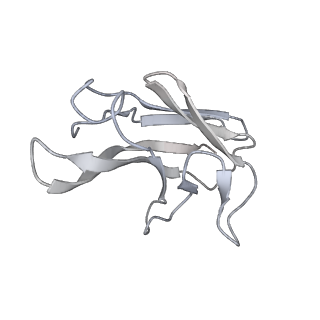 34259_8gto_N_v1-0
cryo-EM structure of Omicron BA.5 S protein in complex with XGv282