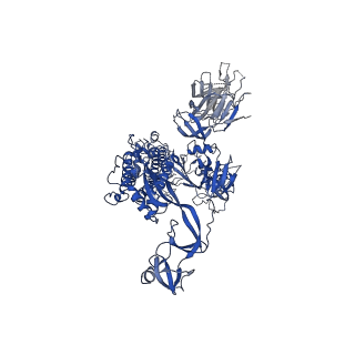 34261_8gtp_A_v1-0
cryo-EM structure of Omicron BA.5 S protein in complex with XGv289