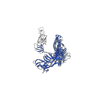 34261_8gtp_B_v1-0
cryo-EM structure of Omicron BA.5 S protein in complex with XGv289