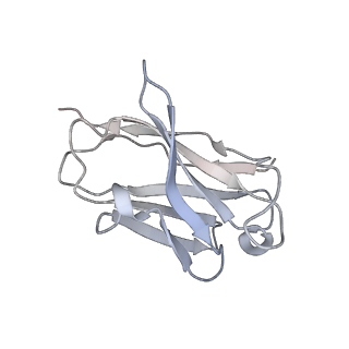 34261_8gtp_H_v1-0
cryo-EM structure of Omicron BA.5 S protein in complex with XGv289
