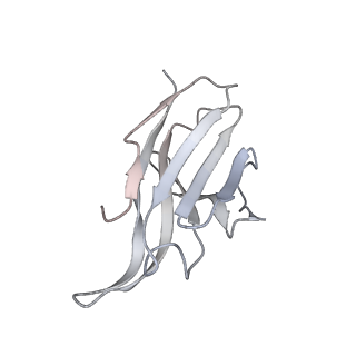 34261_8gtp_L_v1-0
cryo-EM structure of Omicron BA.5 S protein in complex with XGv289