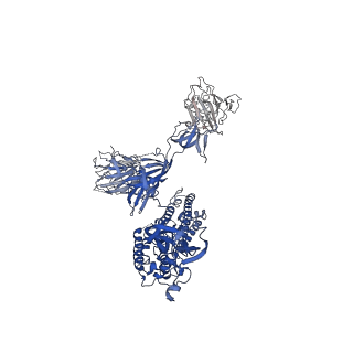 34263_8gtq_C_v1-0
cryo-EM structure of Omicron BA.5 S protein in complex with S2L20
