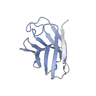 34263_8gtq_H_v1-0
cryo-EM structure of Omicron BA.5 S protein in complex with S2L20