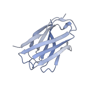 34263_8gtq_J_v1-0
cryo-EM structure of Omicron BA.5 S protein in complex with S2L20