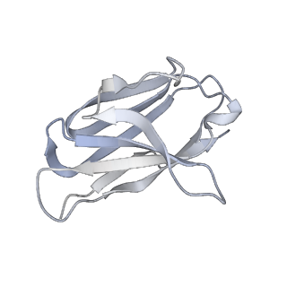34263_8gtq_L_v1-0
cryo-EM structure of Omicron BA.5 S protein in complex with S2L20