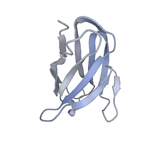 34263_8gtq_M_v1-0
cryo-EM structure of Omicron BA.5 S protein in complex with S2L20