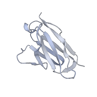 34263_8gtq_N_v1-0
cryo-EM structure of Omicron BA.5 S protein in complex with S2L20
