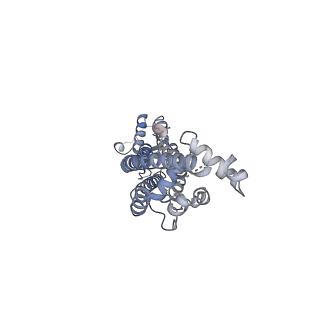 34265_8gtr_A_v1-0
CryoEM structure of human Pannexin isoform 3