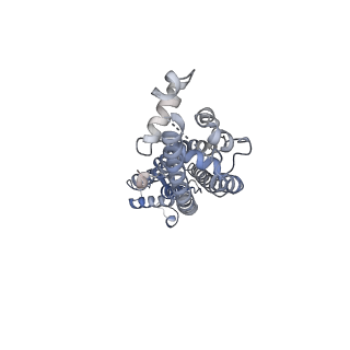 34265_8gtr_C_v1-0
CryoEM structure of human Pannexin isoform 3