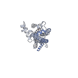 34265_8gtr_D_v1-0
CryoEM structure of human Pannexin isoform 3