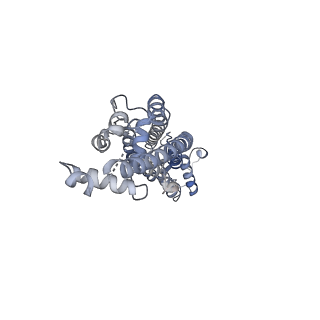 34265_8gtr_E_v1-0
CryoEM structure of human Pannexin isoform 3